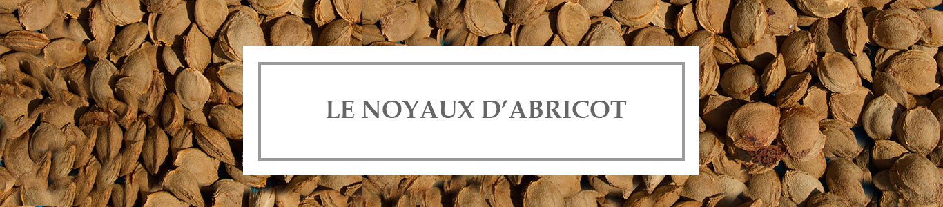 Huile de Beauté Noyaux d&rsquo;Abricot