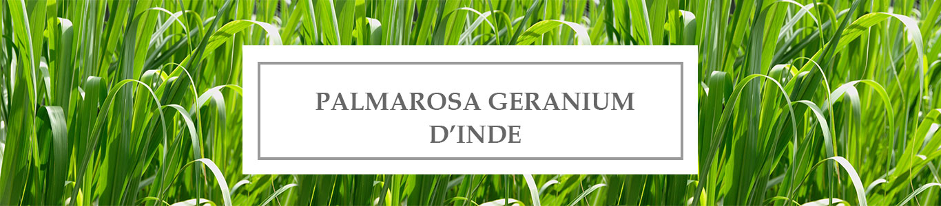 HE Palmarosa Géranium d&rsquo;Inde