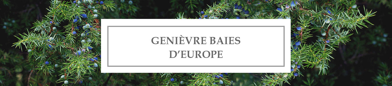 HE Genièvre Baies d&rsquo;Europe