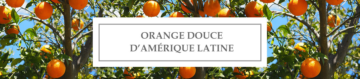 HE Orange Douce d&rsquo;Amérique Latine