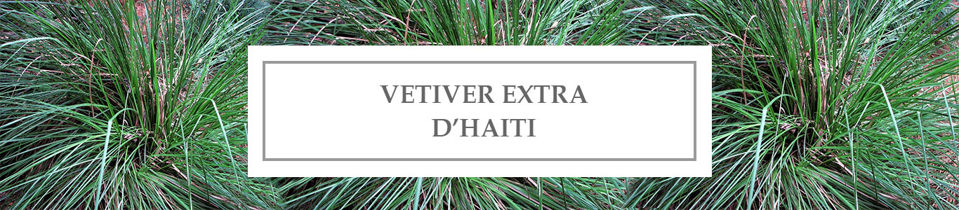 HE Vetiver Extra d&rsquo;Haïti