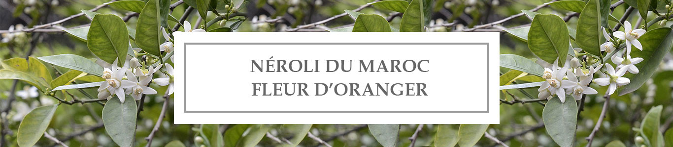 HE Néroli du Maroc Fleur d&rsquo;Oranger