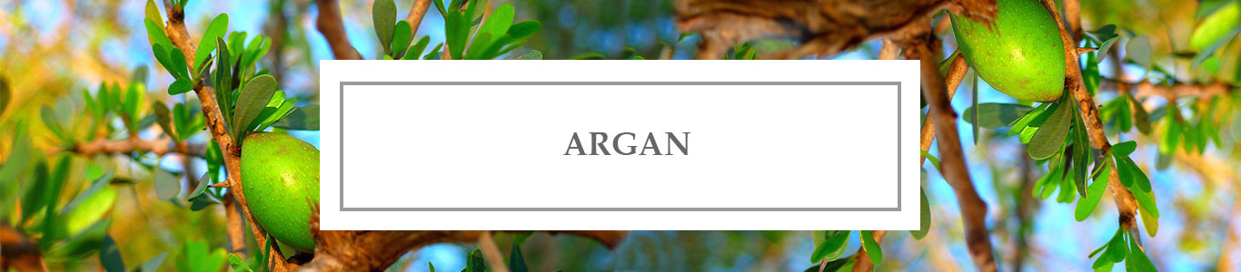 Huile Précieuse d&rsquo;Argan